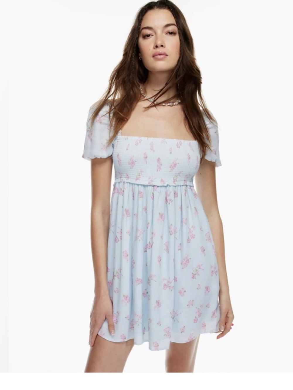 Aritzia Sunday Best Light Blue Floral  Mini Dress